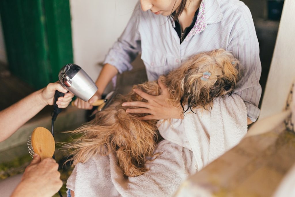 woman-in-white-robe-holding-hair-blower-f57xlufncj8 Dog bath